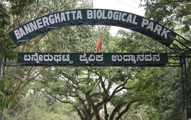 Bannerghatta National Park | 22 kms from Bengaluru
